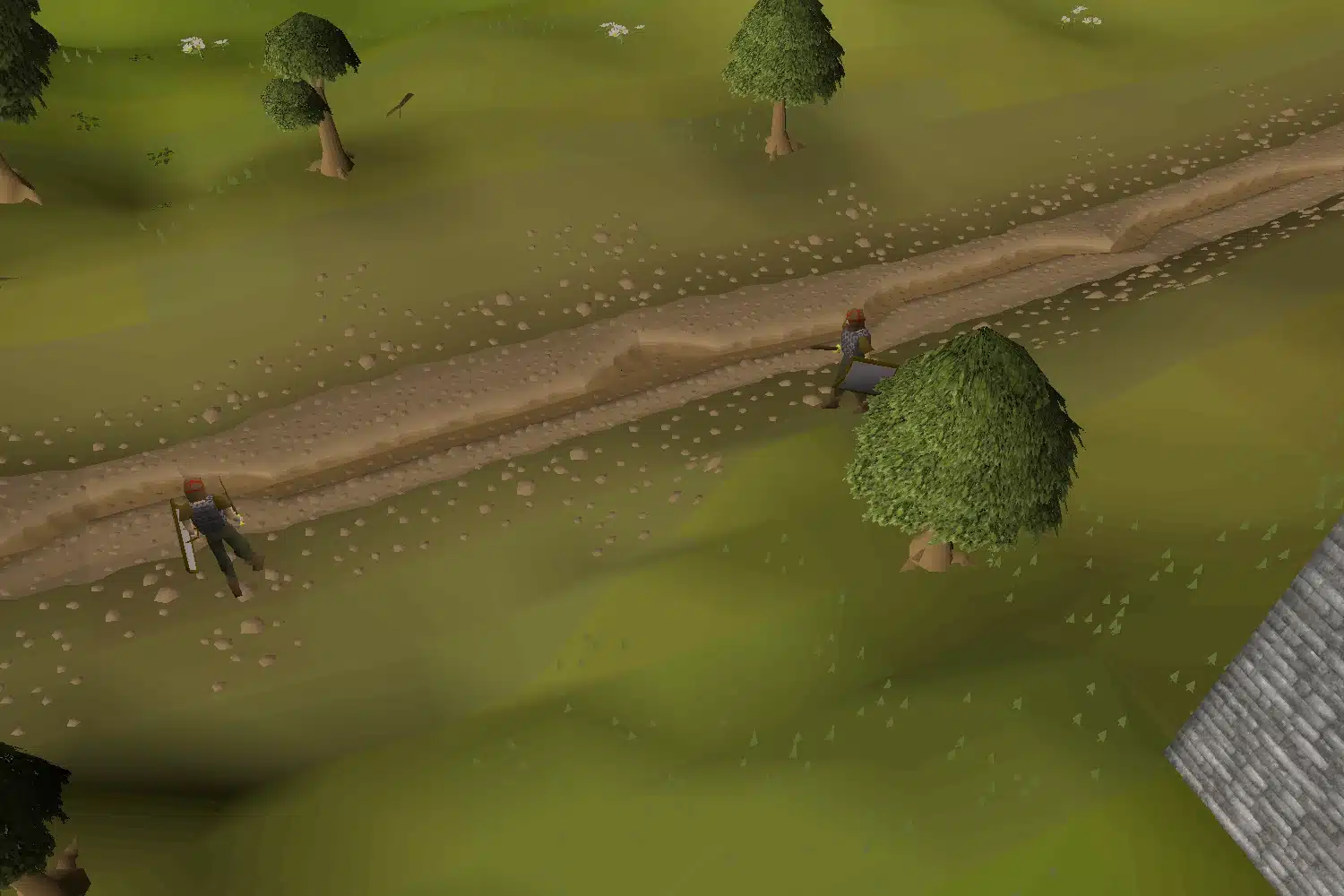 Zenyte 211